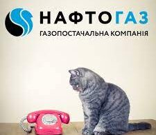 нафтогах