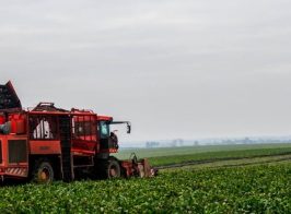 Byriak Superagronom 22520