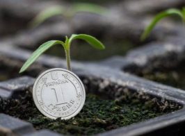 Photo 2023 01 10 13 54 20