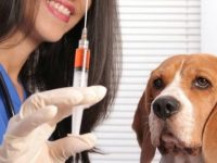 1632848702 480x375 2 0 Nw