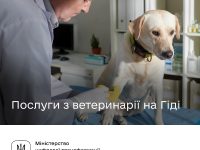 335829663 573783871356266 6087423607959251750 N