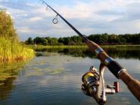 Fkve34qxkghl56kwkn4g.w575