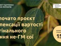 336910710 655588663244781 9173622230329159167 N