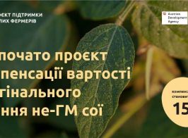 336910710 655588663244781 9173622230329159167 N