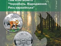 343404704 611511497537608 394594503376885889 N