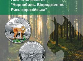 343404704 611511497537608 394594503376885889 N