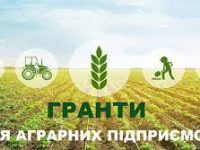 Без названия