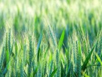 7993041542ef3d2aff63609b6e1b31f9 L