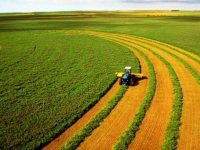 04ffe4f2 F9b5242e40a5cda4acd6826ccaea5c5a