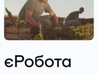 Photo 2023 06 13 14 25 42