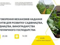 Photo 2023 06 15 12 10 05