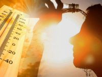 468405b1fa48b4898697baf7d5172192 L