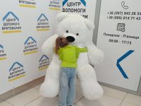 Photo 2023 08 03 11 55 31