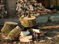 дрова