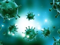 630 360 1543514820 698