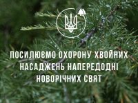 6571a97db1dfd502490095