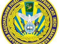 Без названия