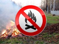 заборона спалювання трави 1024x613