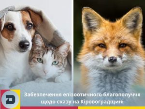 Zabezpechennia 17 12 2024 Golovna