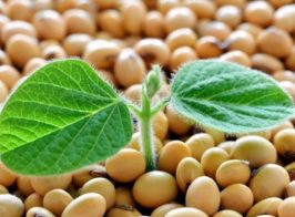 Nablyzhaietsia 23 01 2025 1