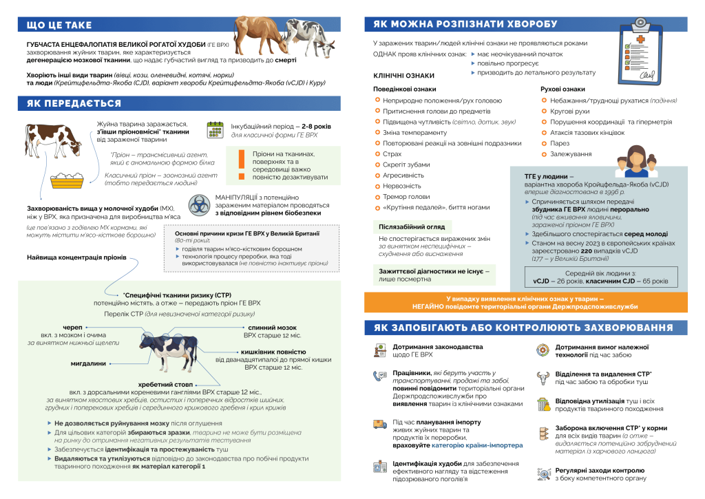 Hubchasta 20 08 2025 1 (1)