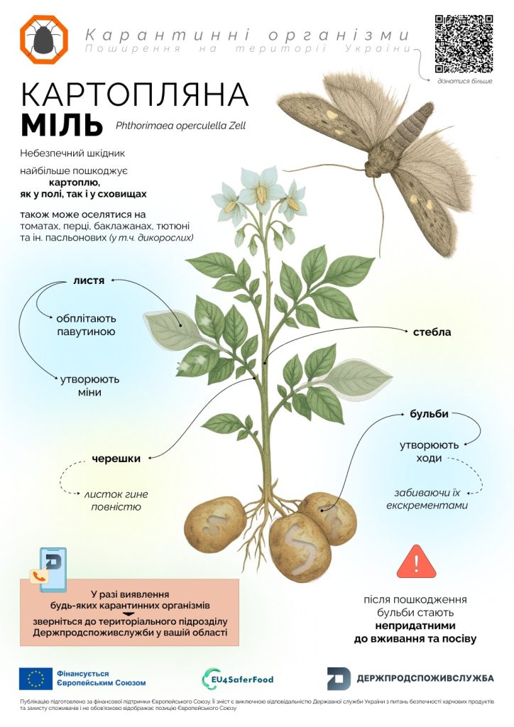 Kartopliana 25 08 2025 1