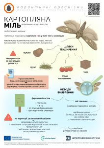 Kartopliana 25 08 2025 2