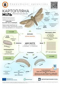 Kartopliana 25 08 2025 4