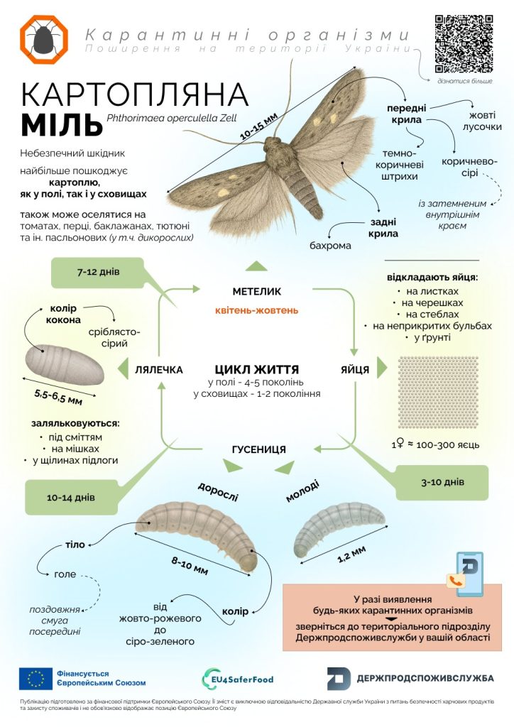 Kartopliana 25 08 2025 4