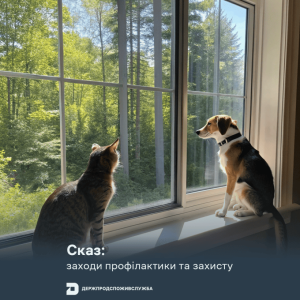 Skaz 17 09 2025 Golovna