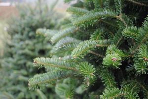 B50ead6ecfd7ccf751b46328044e276d