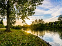 Furzton Lake In Milton Keynes