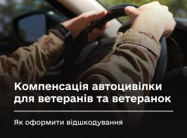 Автоцивілка 1