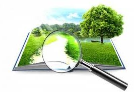 завантаження (1)