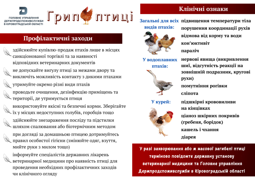 Грип птиці 1 (1) (1)