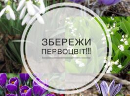 Xr:d:dafiz9wlrim:15,j:4188850241,t:23022313