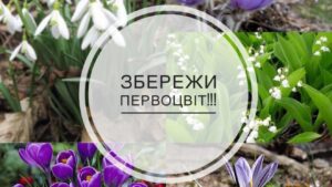 Xr:d:dafiz9wlrim:15,j:4188850241,t:23022313