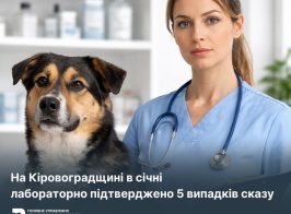 Na 12 02 2026 Golovna