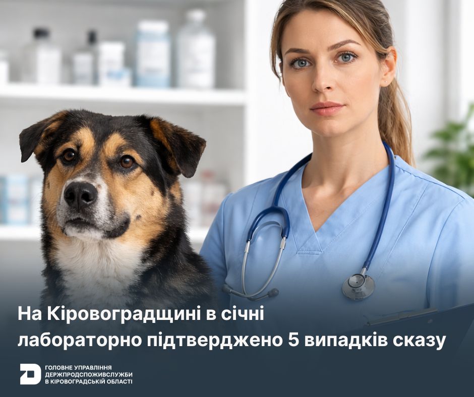 Na 12 02 2026 Golovna