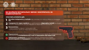 2 Deklaruvannia Zbroi 2 Sait.png