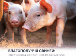 Blahopoluchchia 17 03 2026 Golovna