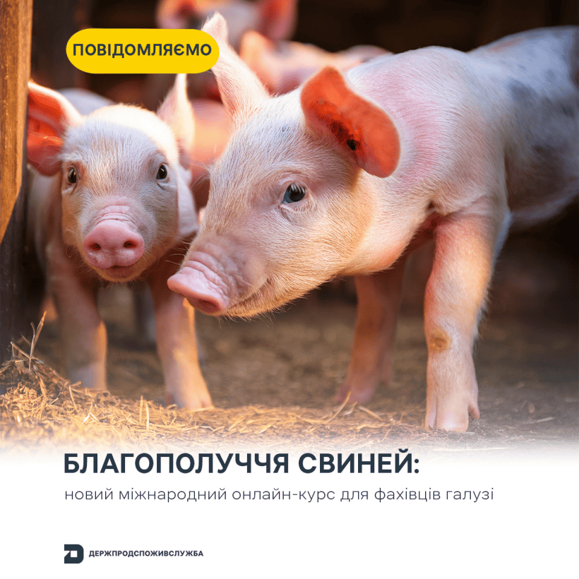 Blahopoluchchia 17 03 2026 Golovna