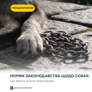 собак