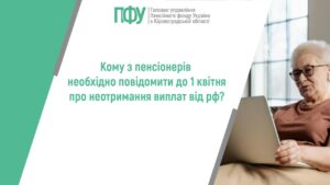 стаття 17