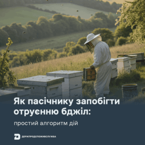 Iak 13 04 2026 Golovna