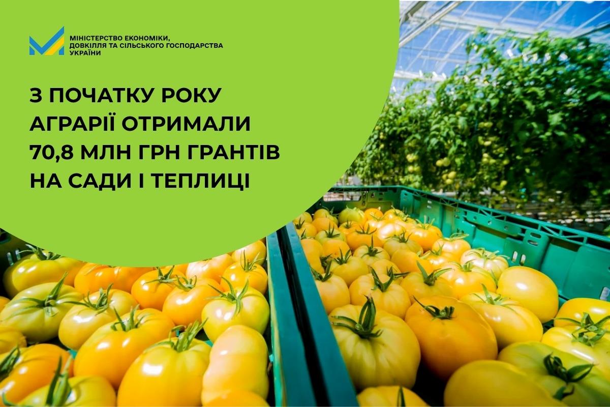 сади