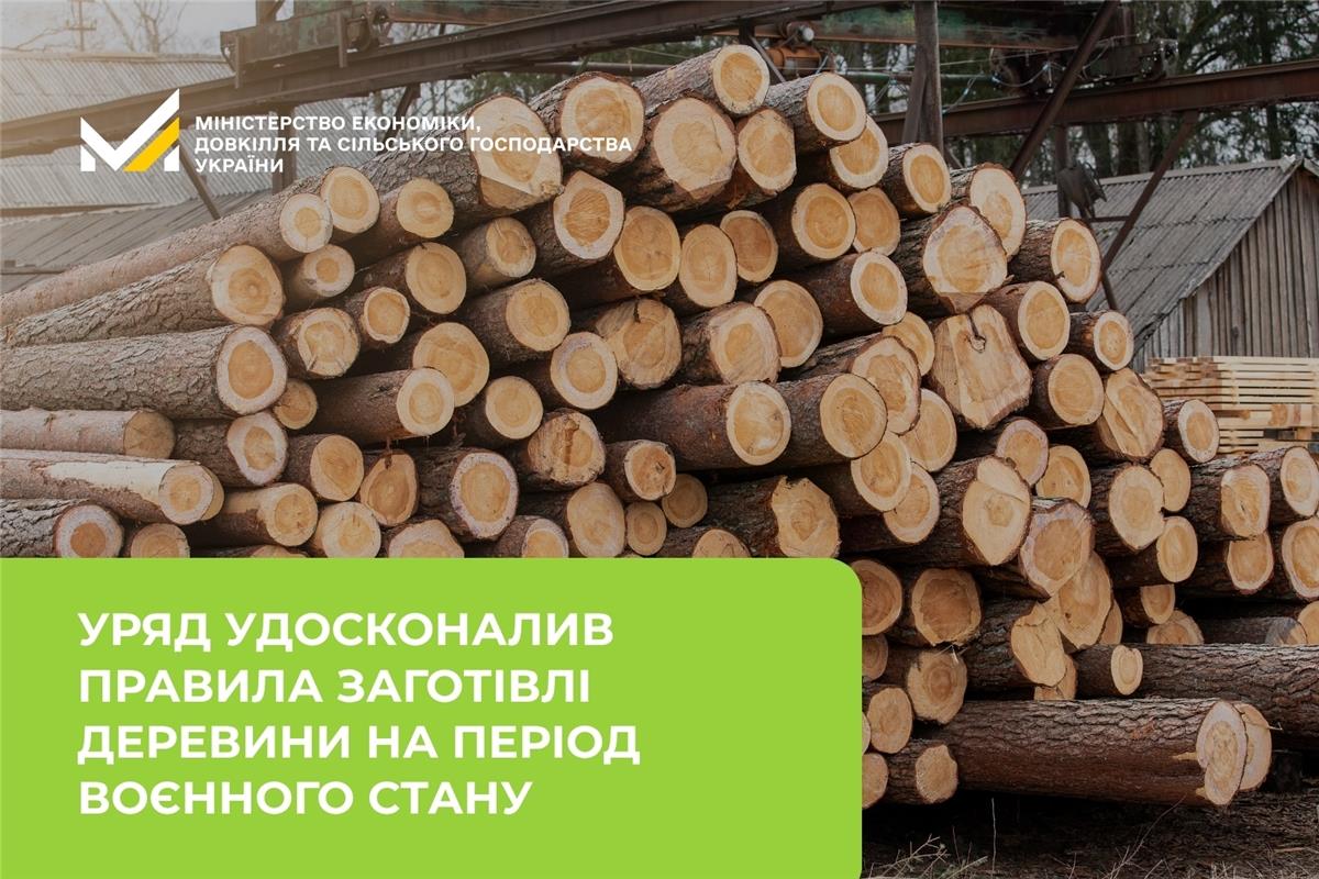 дерево