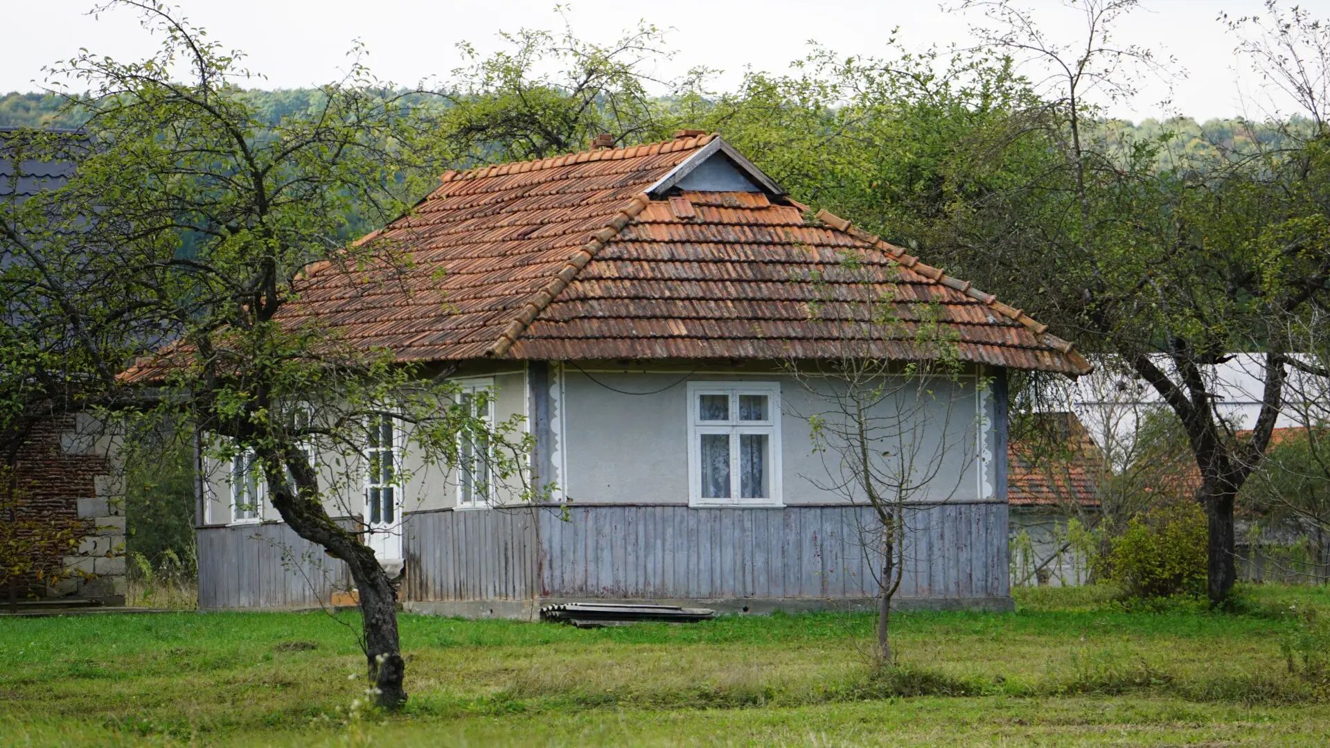 впо