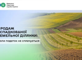 земля