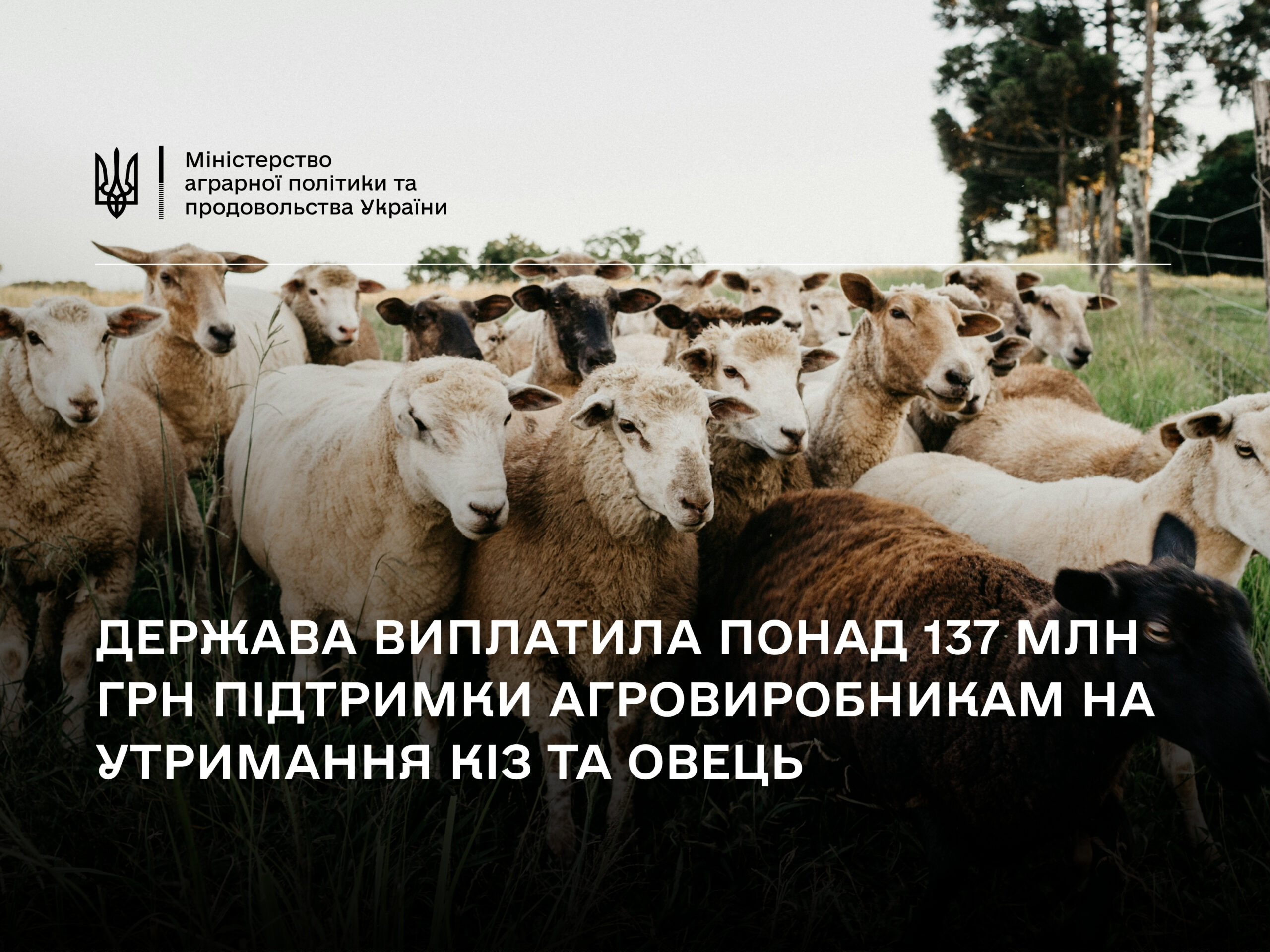 коз